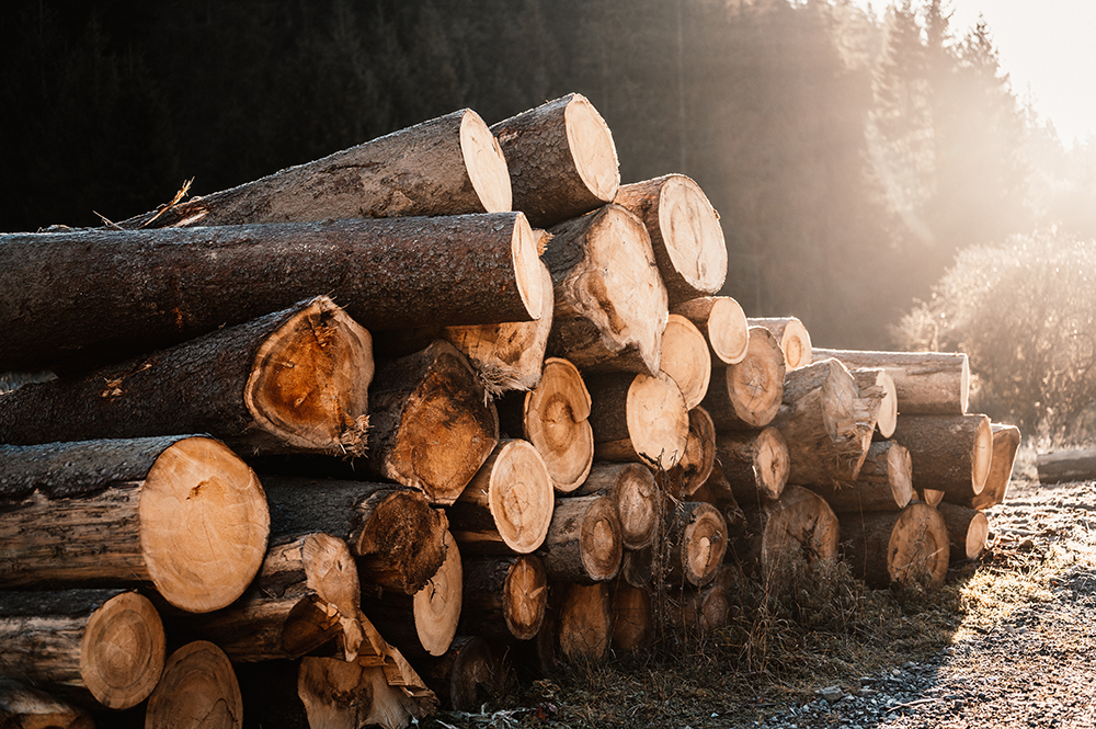 Forestry and agriculture from Berninghausen.